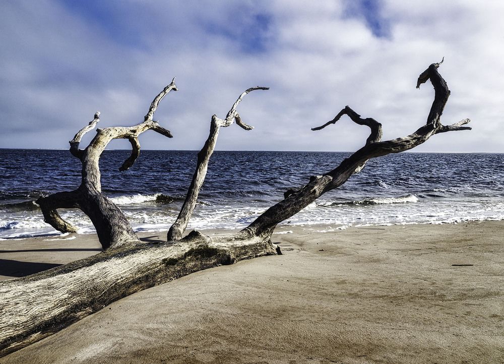 Фотография автора Ray Asiala