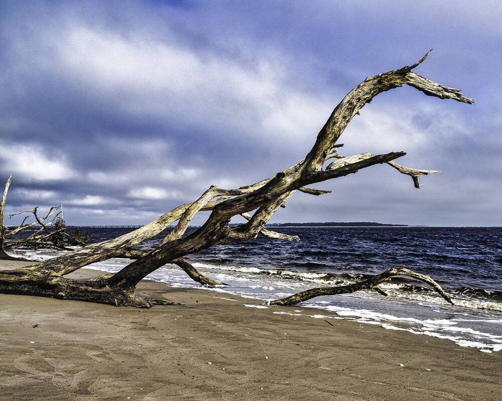 Фотография автора Ray Asiala