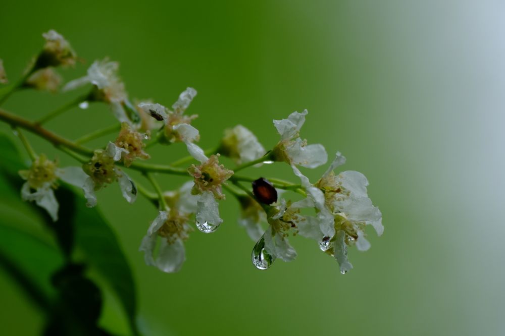 Photograph by Яна Бойко