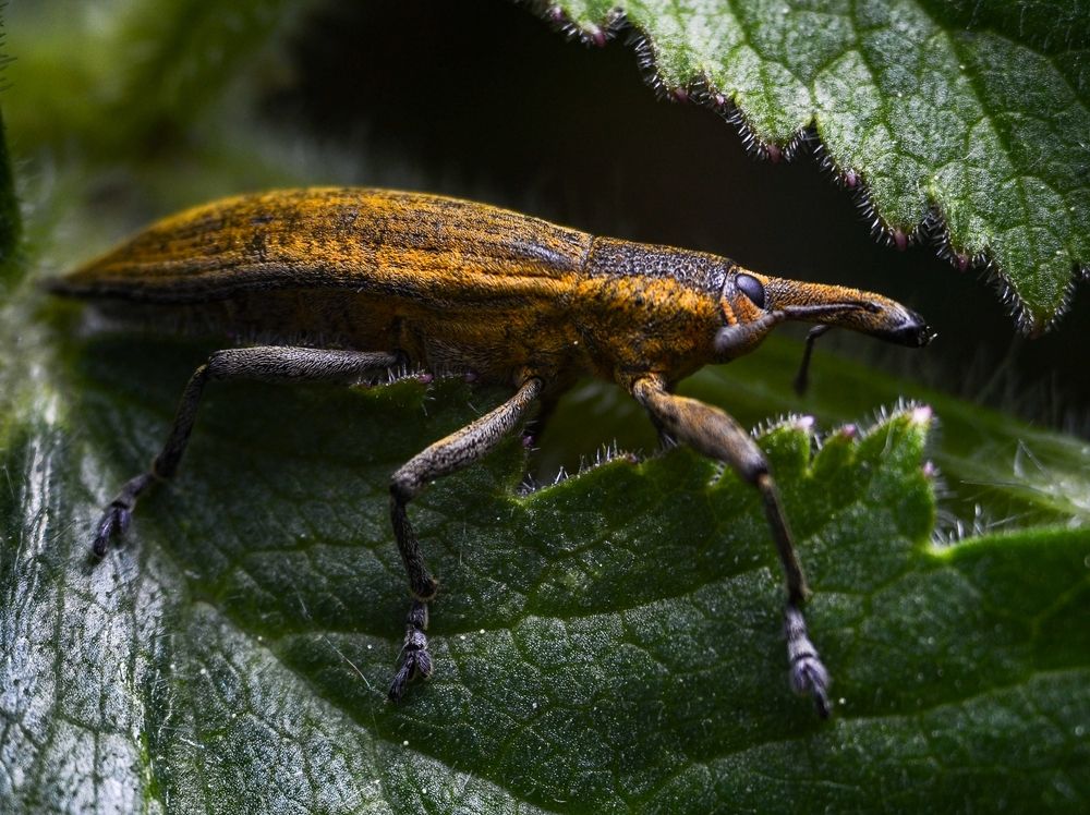 Photograph by Kirill Frolov