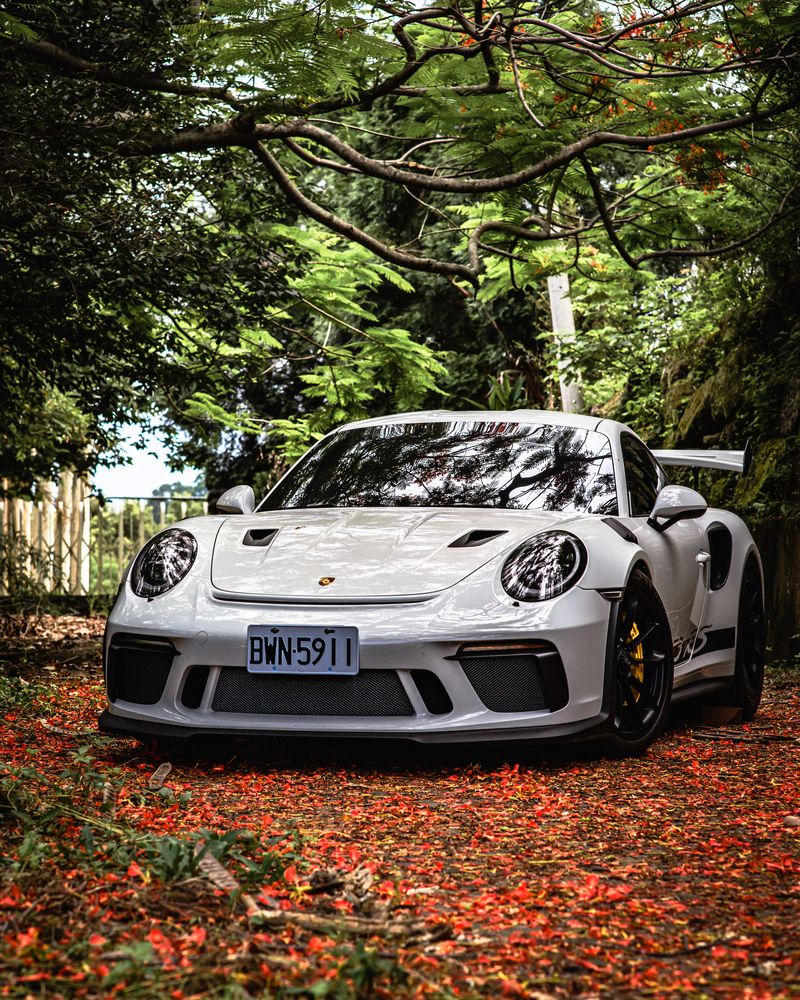 Photograph by answer