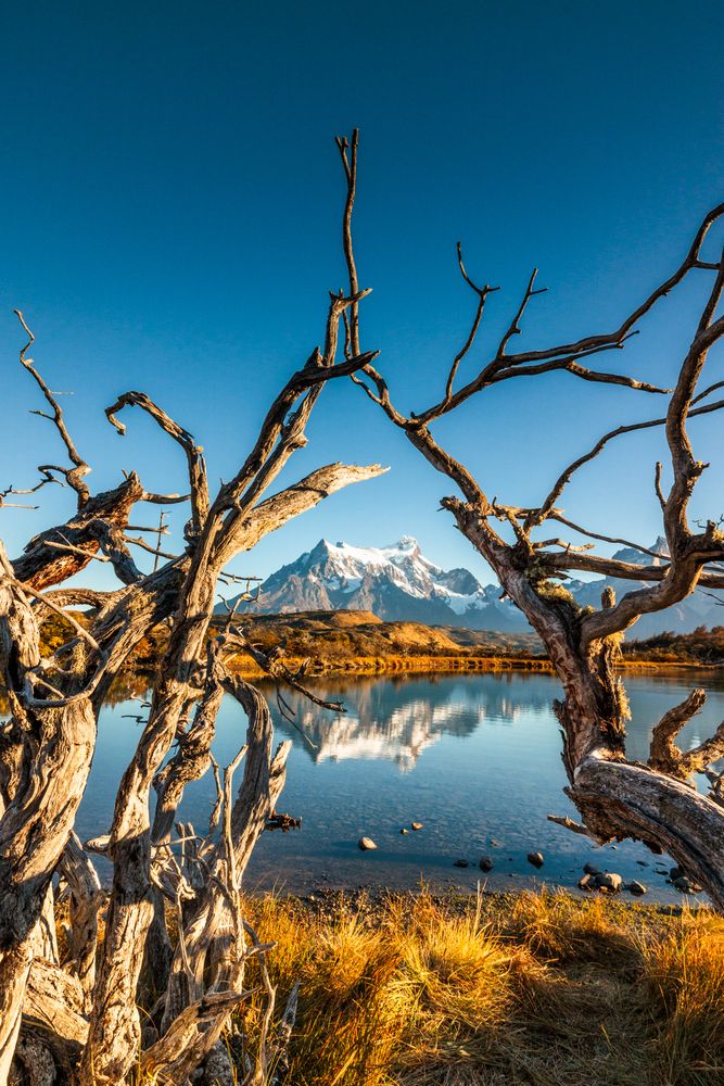 Framed by Nature