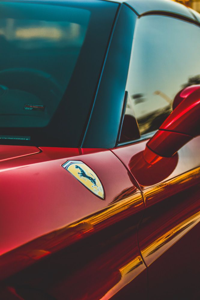 Фотография автора Sarrah Yehia