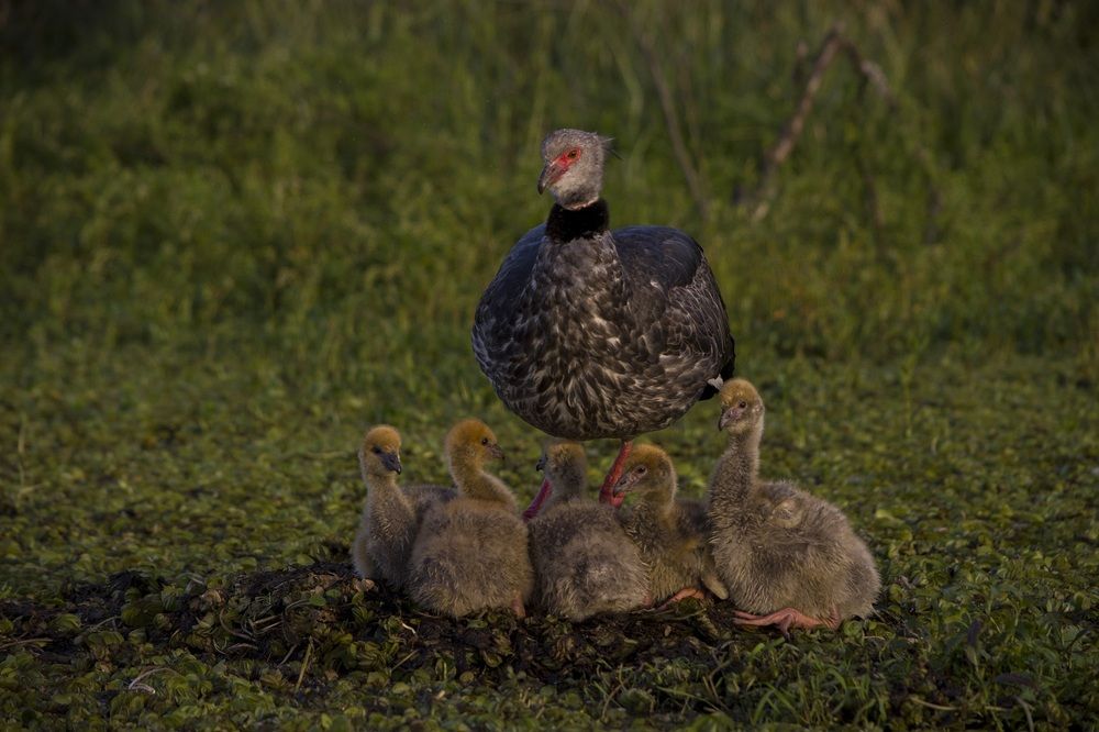 Photograph by Dario Rivero