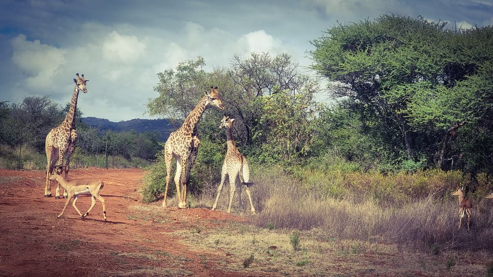 Фотография автора Rita Nel