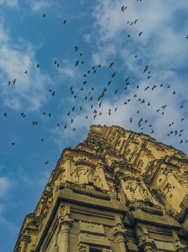 Photograph by vishnu sasikumar