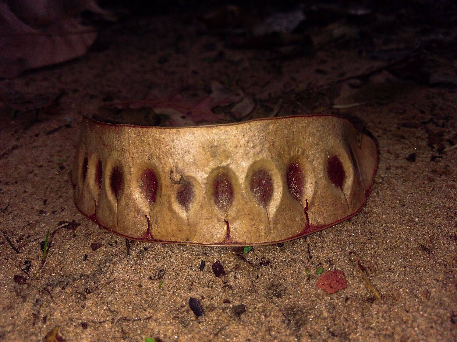 Photo #12270011