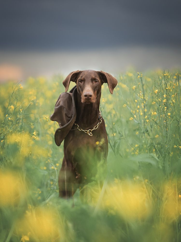 Photograph by Мария Клещенко