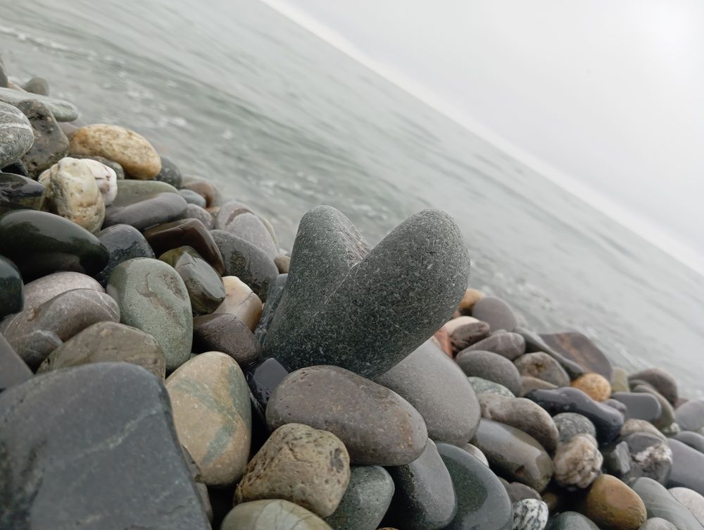 Photo #12270184