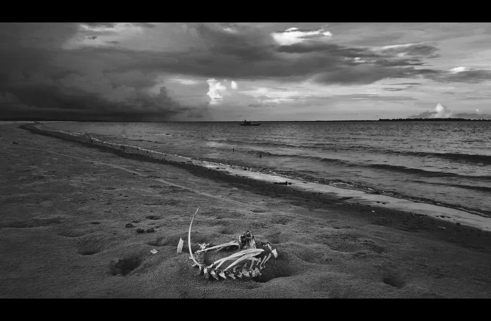 Photograph by Sambit Ghosh