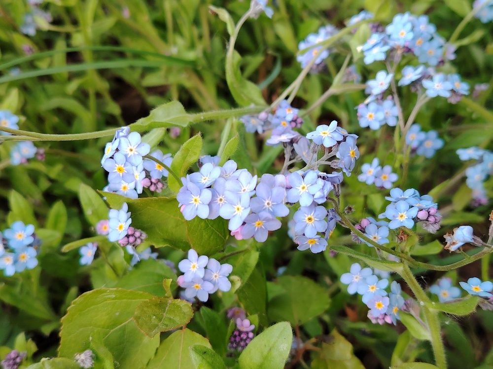 Фотография автора Мария