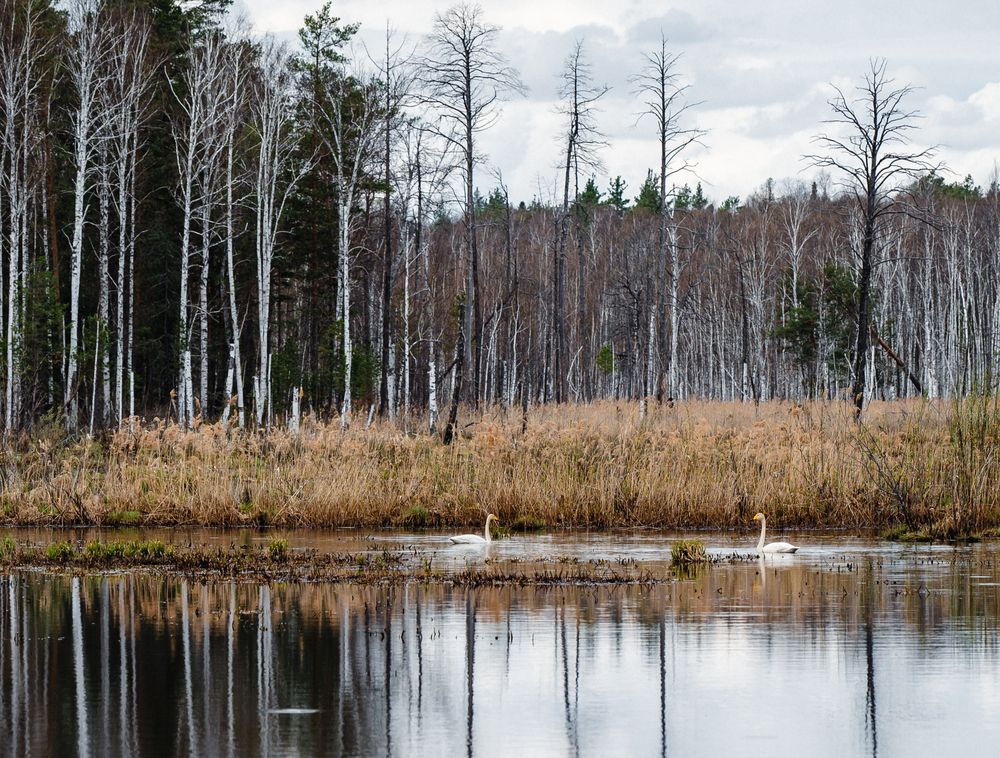 Photograph by Юрий Киреичев