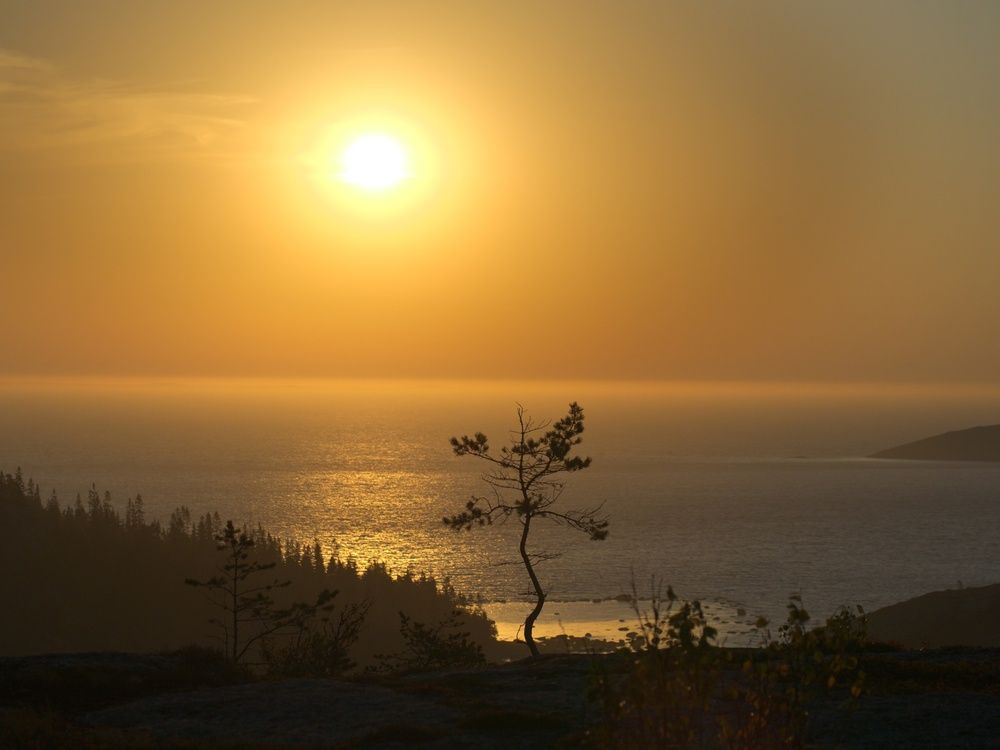 Photograph by Поляков Алексей