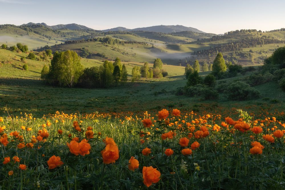 Photograph by Рубан Алёна