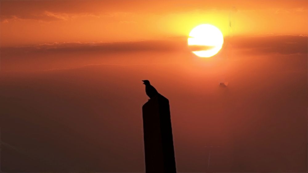 Photograph by Krishna Patil