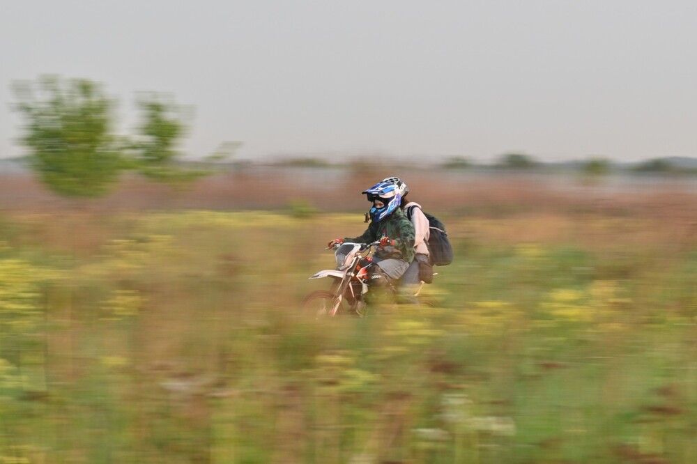 Фотография автора IRINA FILIPPOVA