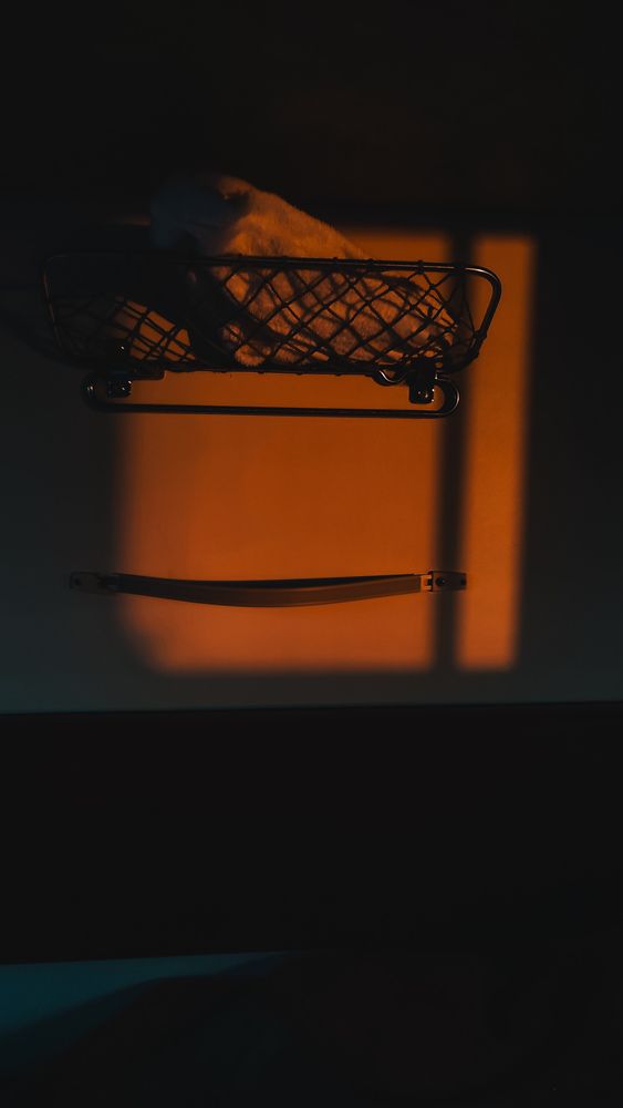 Photograph by Анастасия Алькишева