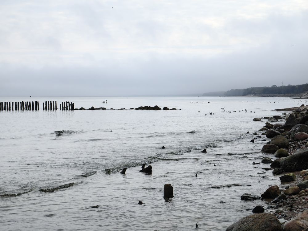 Photograph by Елена Акимова