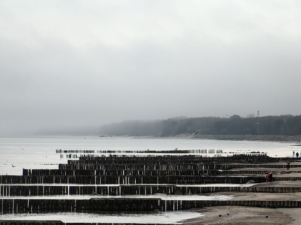 Photograph by Елена Акимова