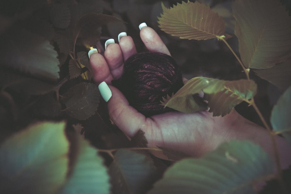 Photograph by Евгения Сенченко