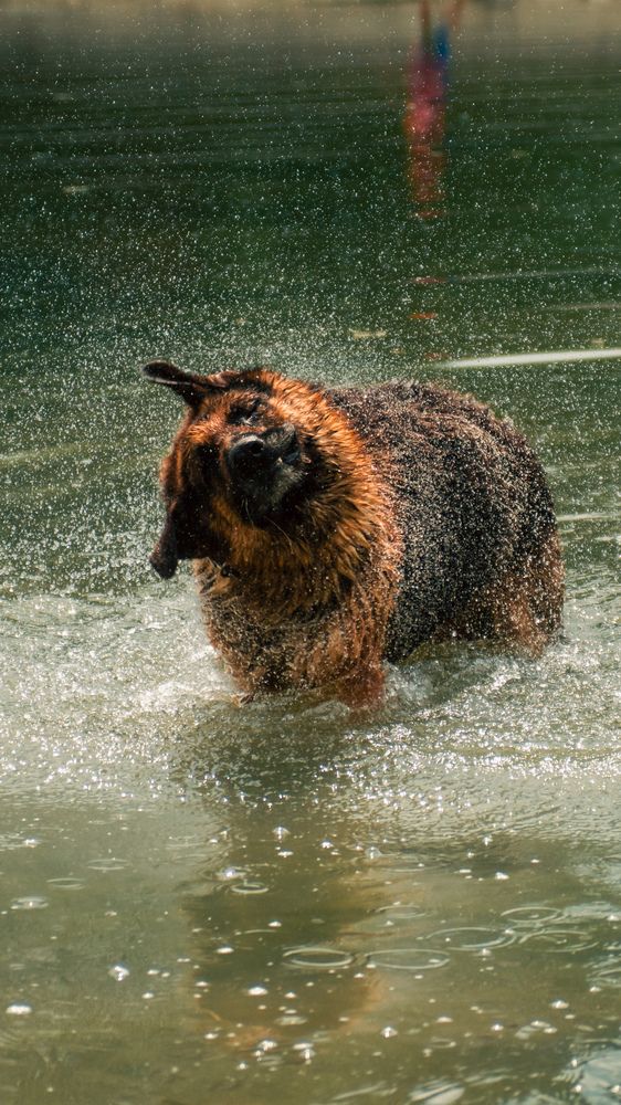 Фотография автора Геннадий Ломеко