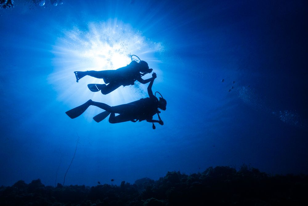 Фотография автора Jian Ma