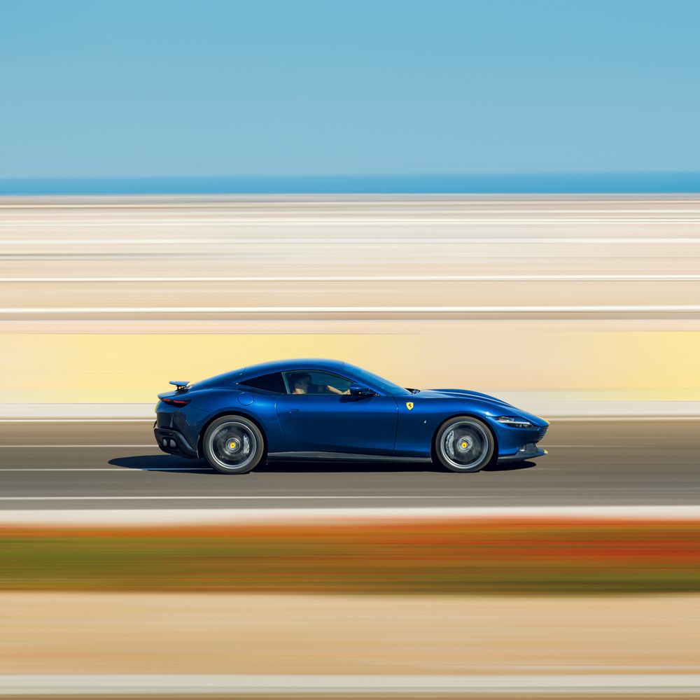 Photograph by Alaa Nour