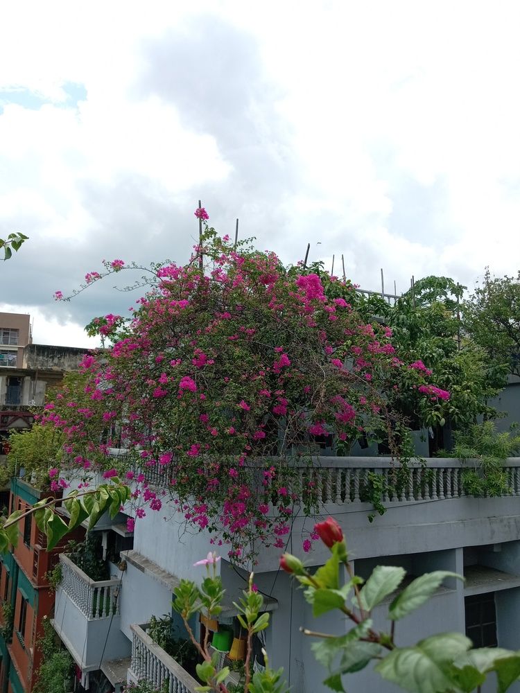 Photograph by Arpita Nandy