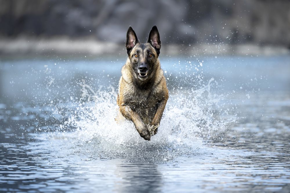 Photograph by Alessandro Grandoni