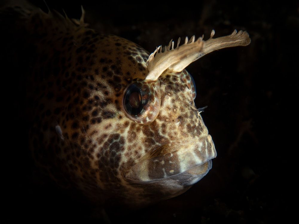 Photograph by Gozde Karayel