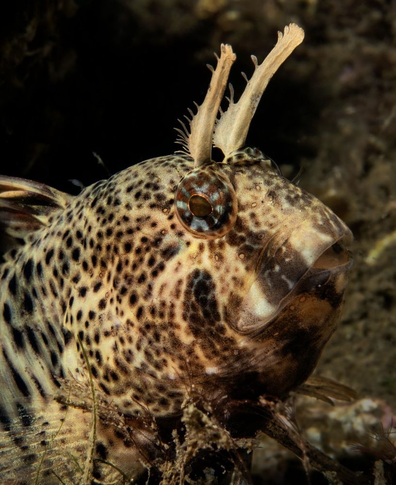 Photograph by Gozde Karayel