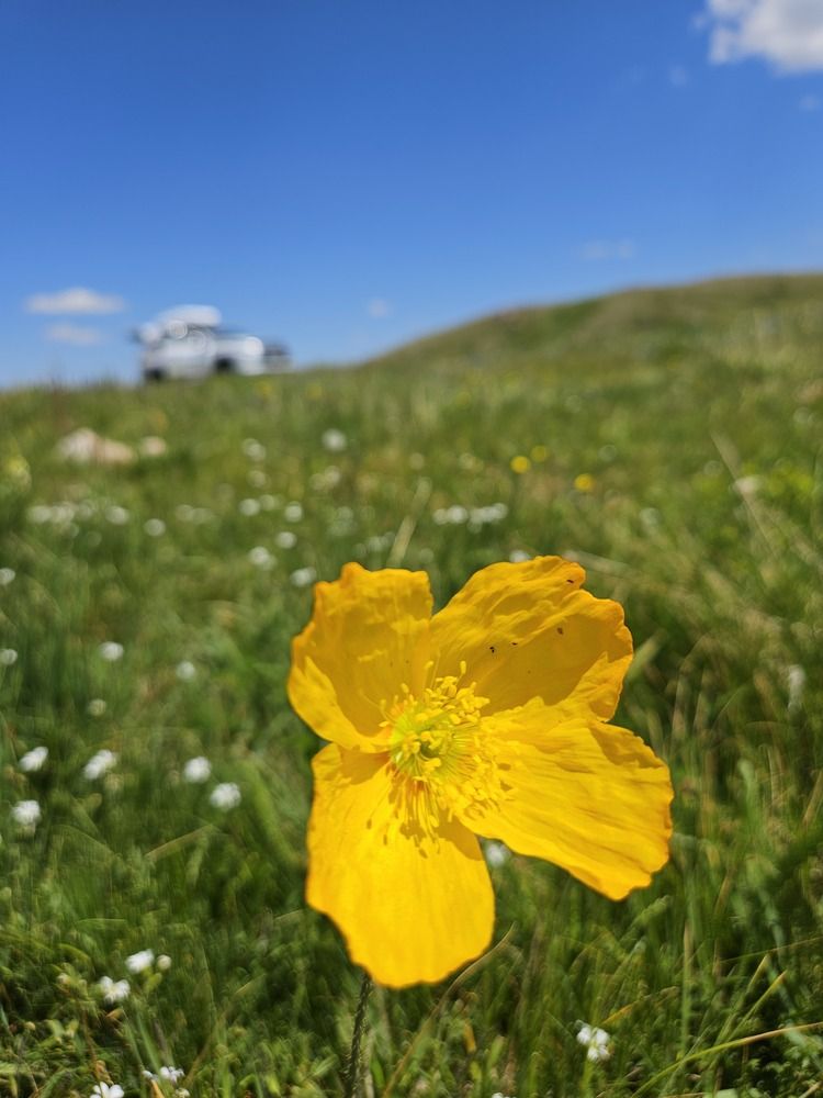 Photograph by Эльвира