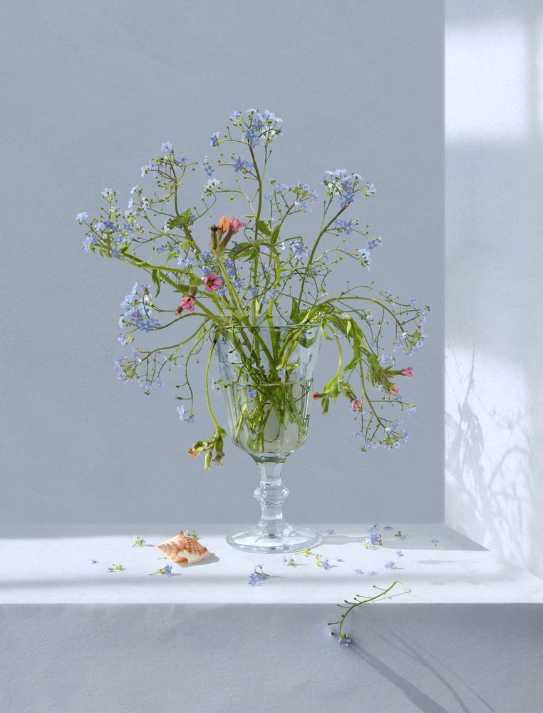 Photograph by Dina Ginevich