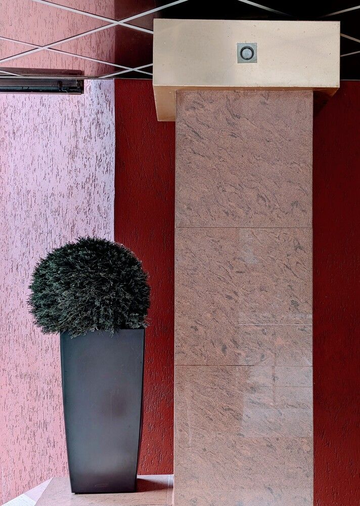 Фотография автора Елизавета