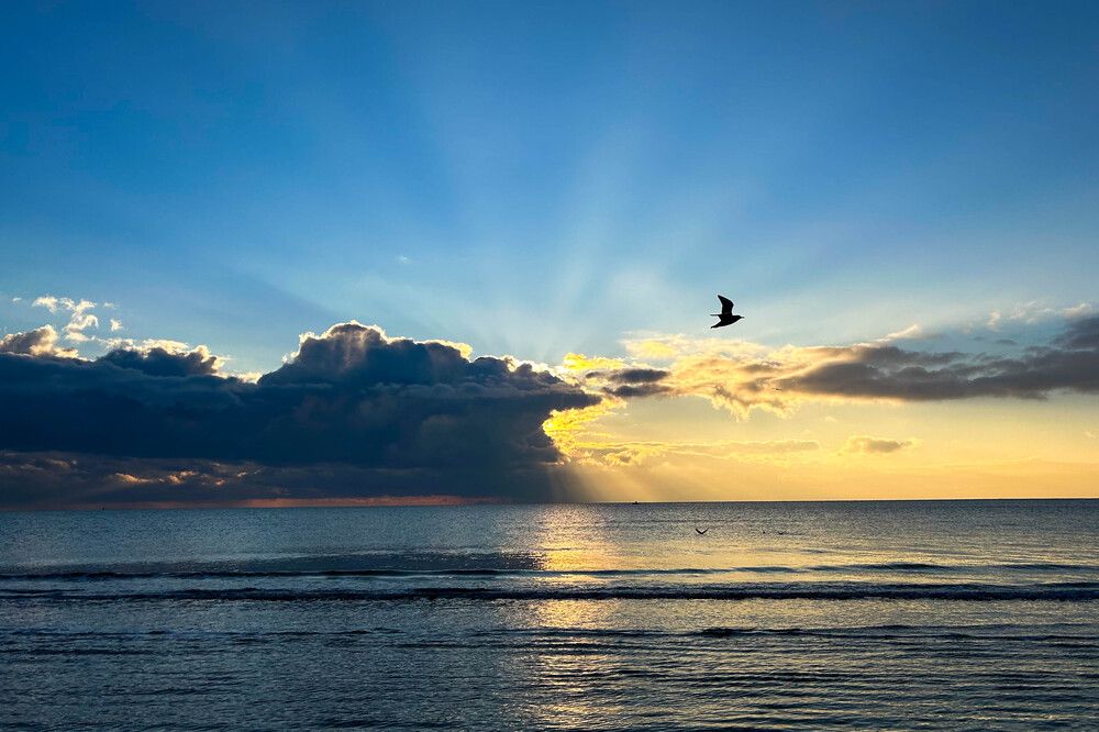 Photograph by Olga Smirnova