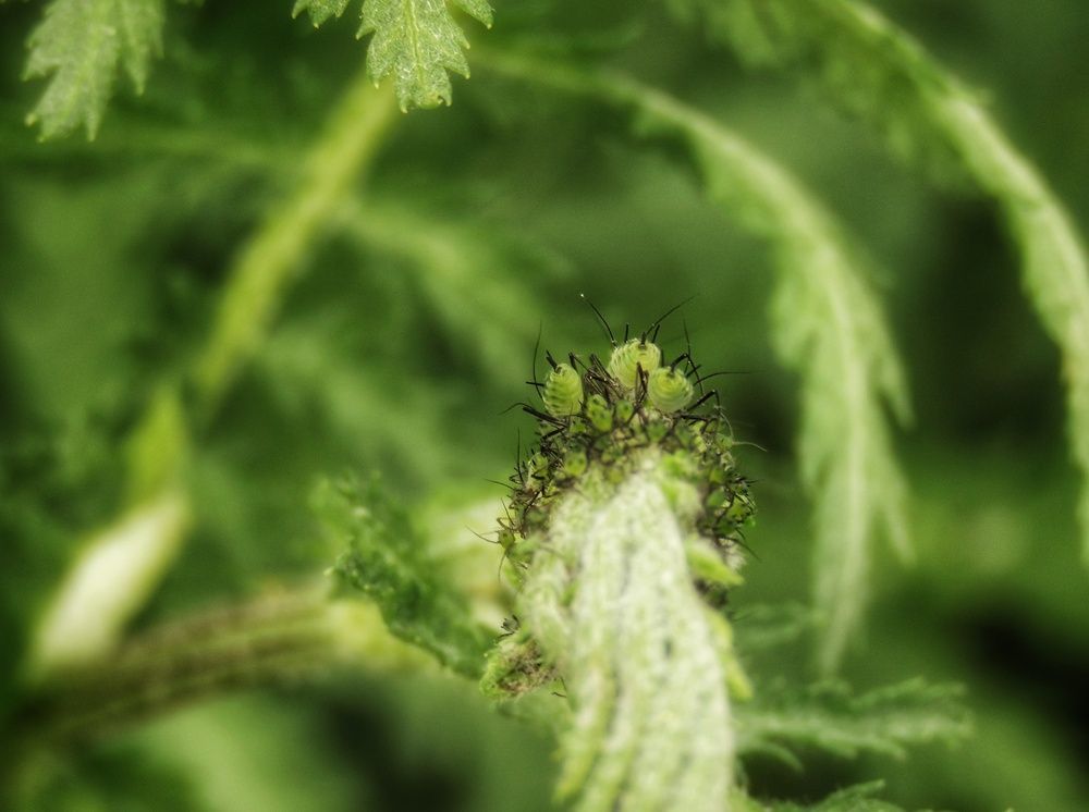 Фотография автора Екатерина Солохина