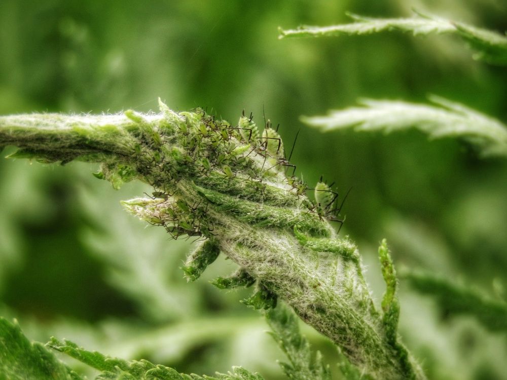 Фотография автора Екатерина Солохина