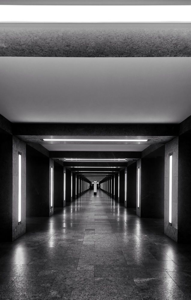 Фотография автора Ekaterina Biserova