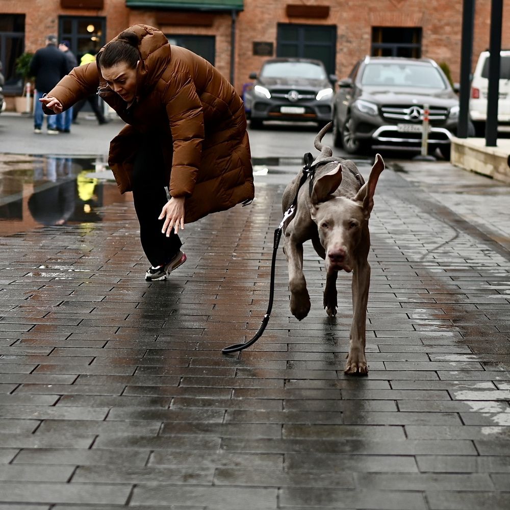 Photograph by Olga Brilevskaya