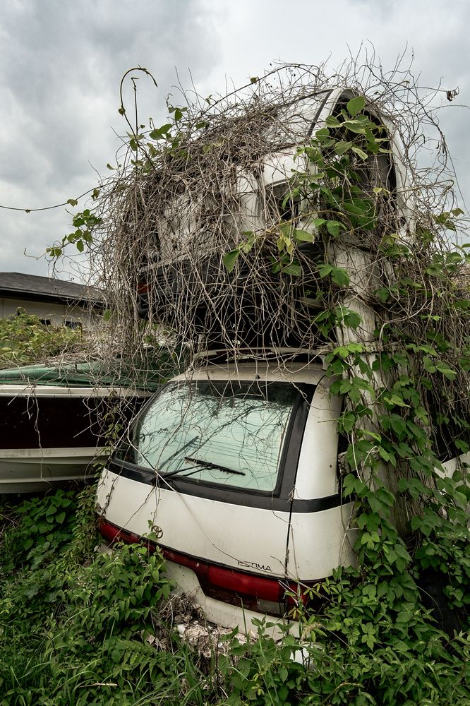 Photograph by Ivan Vetoshkin