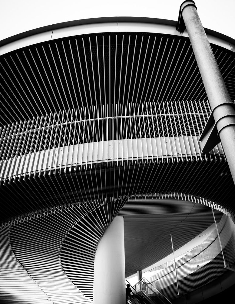 Photograph by Mutsuaki