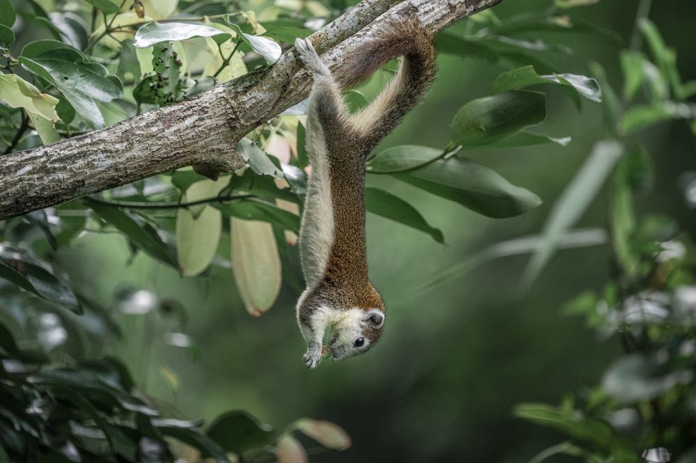 Photograph by Dino Von Valen