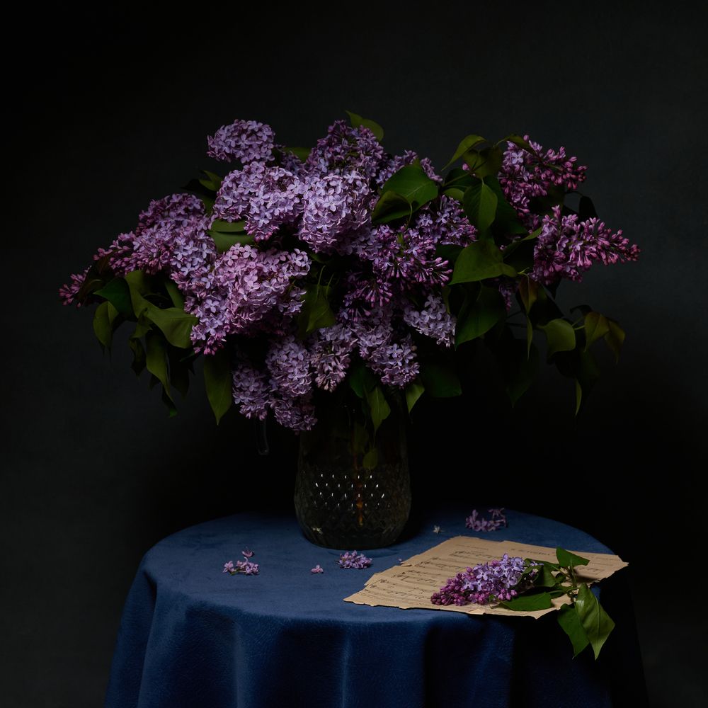 Photograph by Алина Бойко