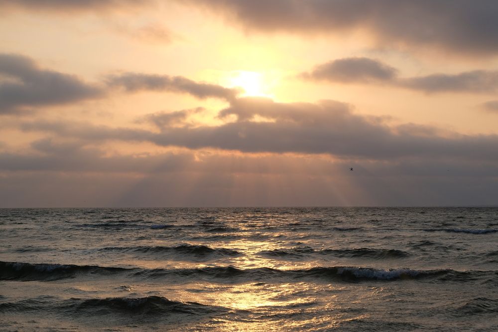 Photograph by Вадим Зрюев