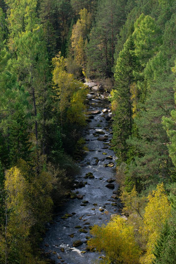 Река Олха, Олхинское плато, Иркутская область