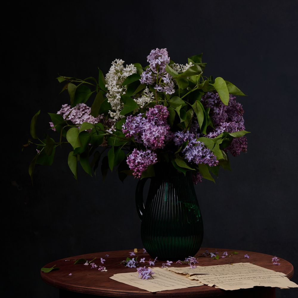 Photograph by Алина Бойко