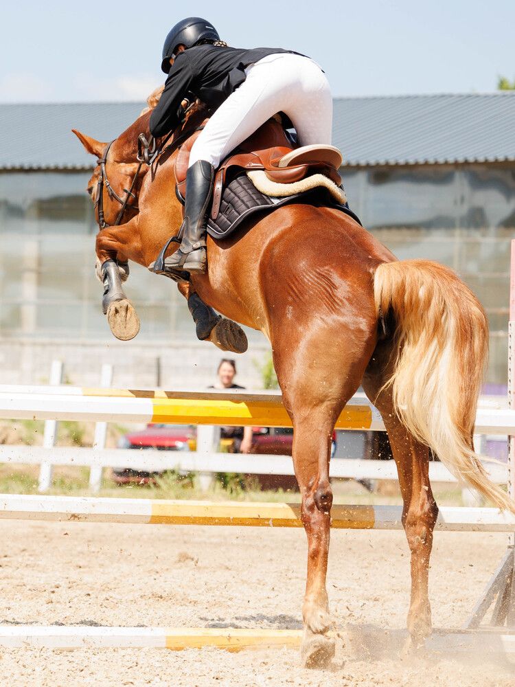 Фотография автора Елена Гордиевская