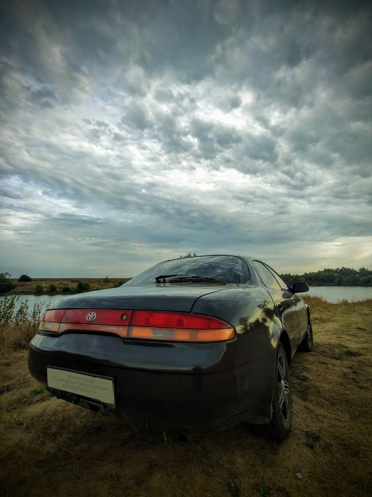 Фотография автора Тамара Нижельская