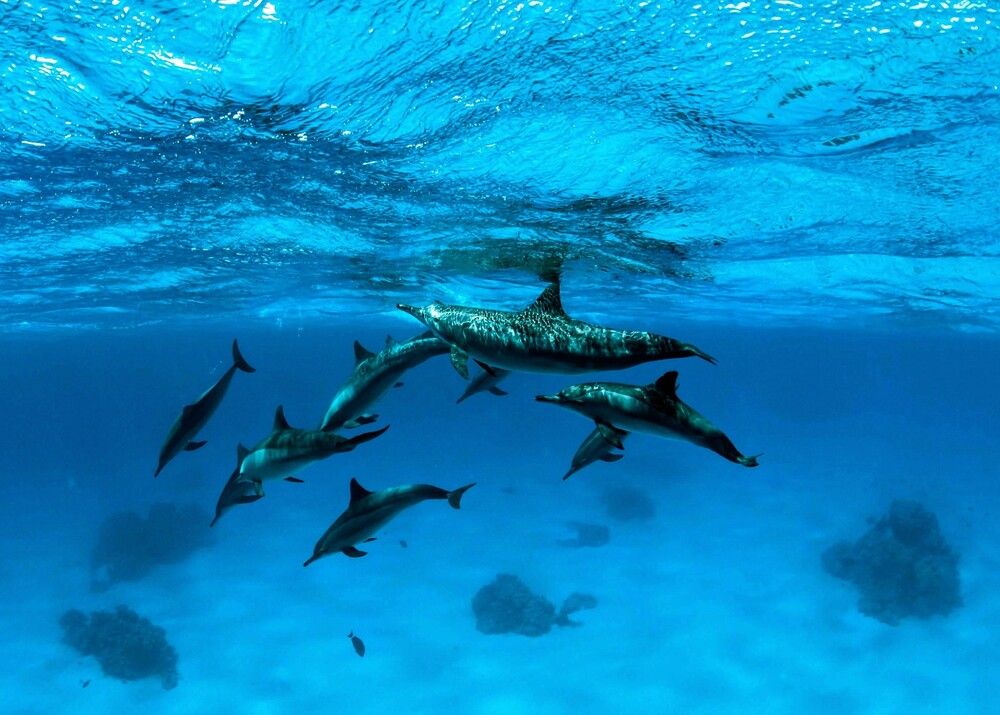 Photograph by Karasev Pavel