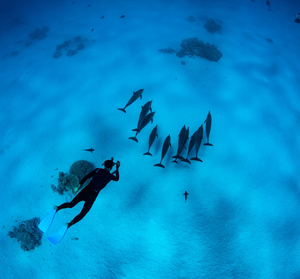 Photograph by Karasev Pavel